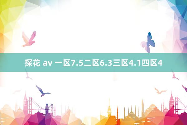 探花 av 一区7.5二区6.3三区4.1四区4