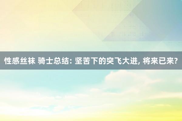 性感丝袜 骑士总结: 坚苦下的突飞大进， 将来已来?