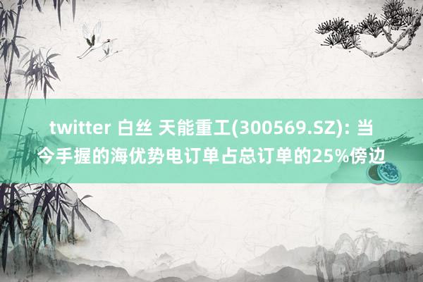 twitter 白丝 天能重工(300569.SZ): 当今手握的海优势电订单占总订单的25%傍边