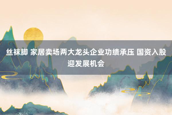 丝袜脚 家居卖场两大龙头企业功绩承压 国资入股迎发展机会