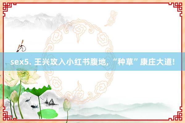 sex5. 王兴攻入小红书腹地， “种草”康庄大道!
