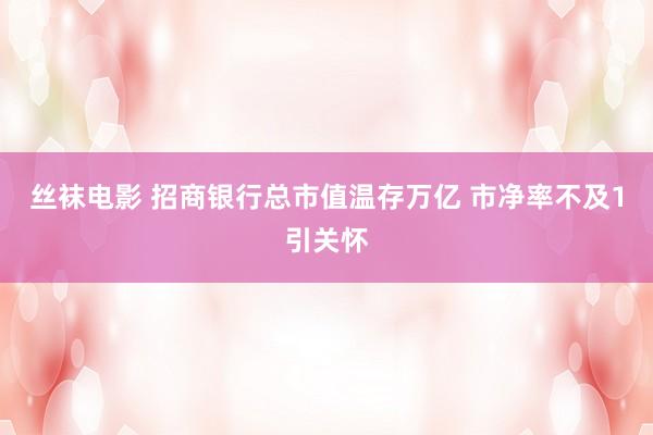 丝袜电影 招商银行总市值温存万亿 市净率不及1引关怀